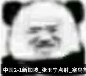 中国2-1新加坡_张玉宁点射_塞鸟首球_武磊迎百场
